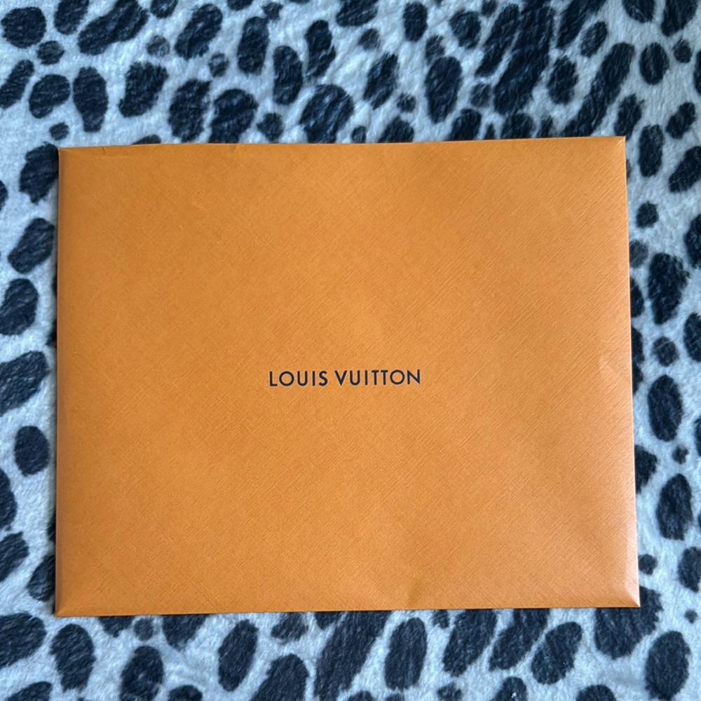 Louis Vuitton Envelope